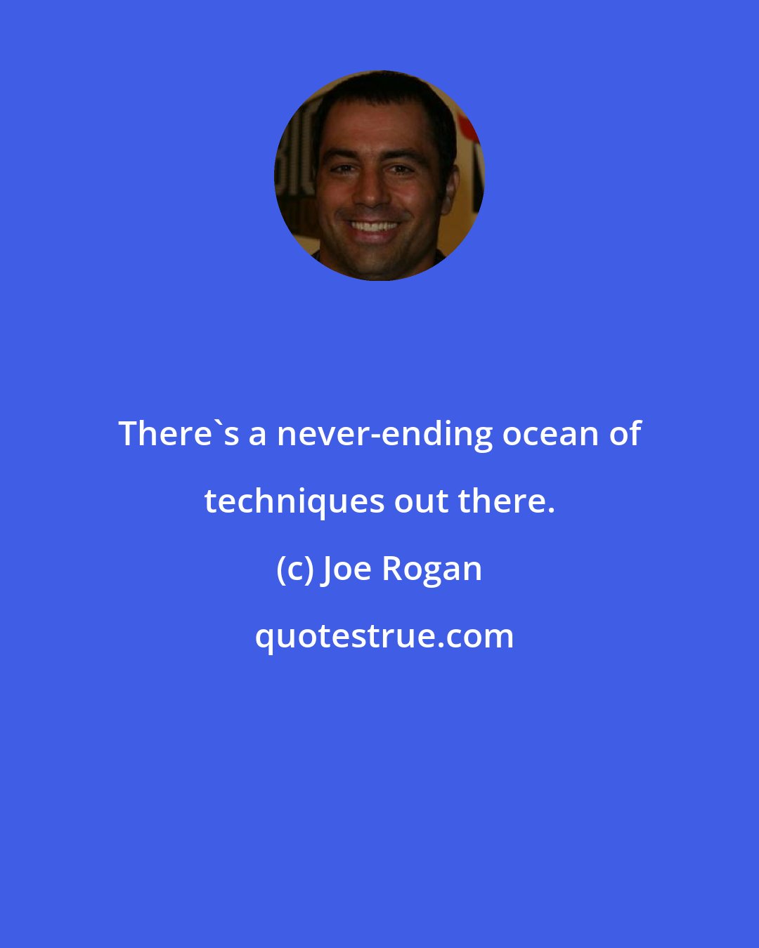 Joe Rogan: There's a never-ending ocean of techniques out there.