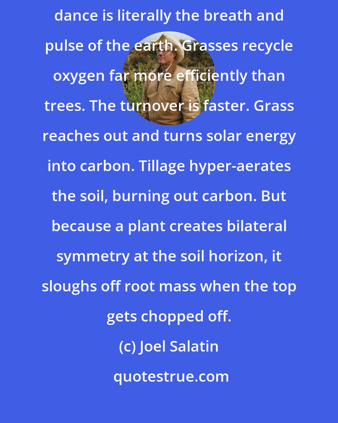 Joel Salatin: The wealth of any ecosystem is its perennials. The primal herbivore-predator-disturbance-rest dance is literally the breath and pulse of the earth. Grasses recycle oxygen far more efficiently than trees. The turnover is faster. Grass reaches out and turns solar energy into carbon. Tillage hyper-aerates the soil, burning out carbon. But because a plant creates bilateral symmetry at the soil horizon, it sloughs off root mass when the top gets chopped off.