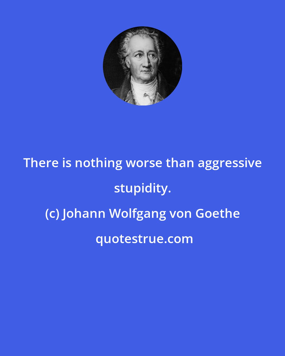 Johann Wolfgang von Goethe: There is nothing worse than aggressive stupidity.