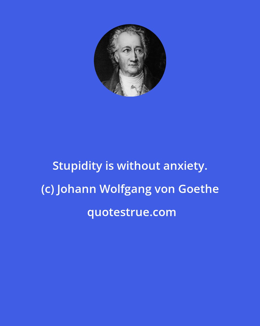 Johann Wolfgang von Goethe: Stupidity is without anxiety.