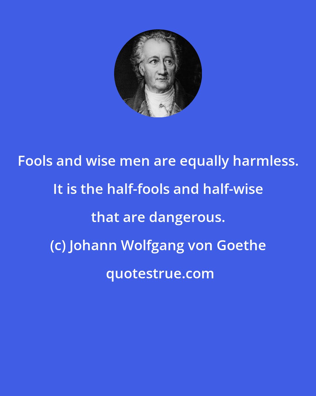 Johann Wolfgang von Goethe: Fools and wise men are equally harmless. It is the half-fools and half-wise that are dangerous.