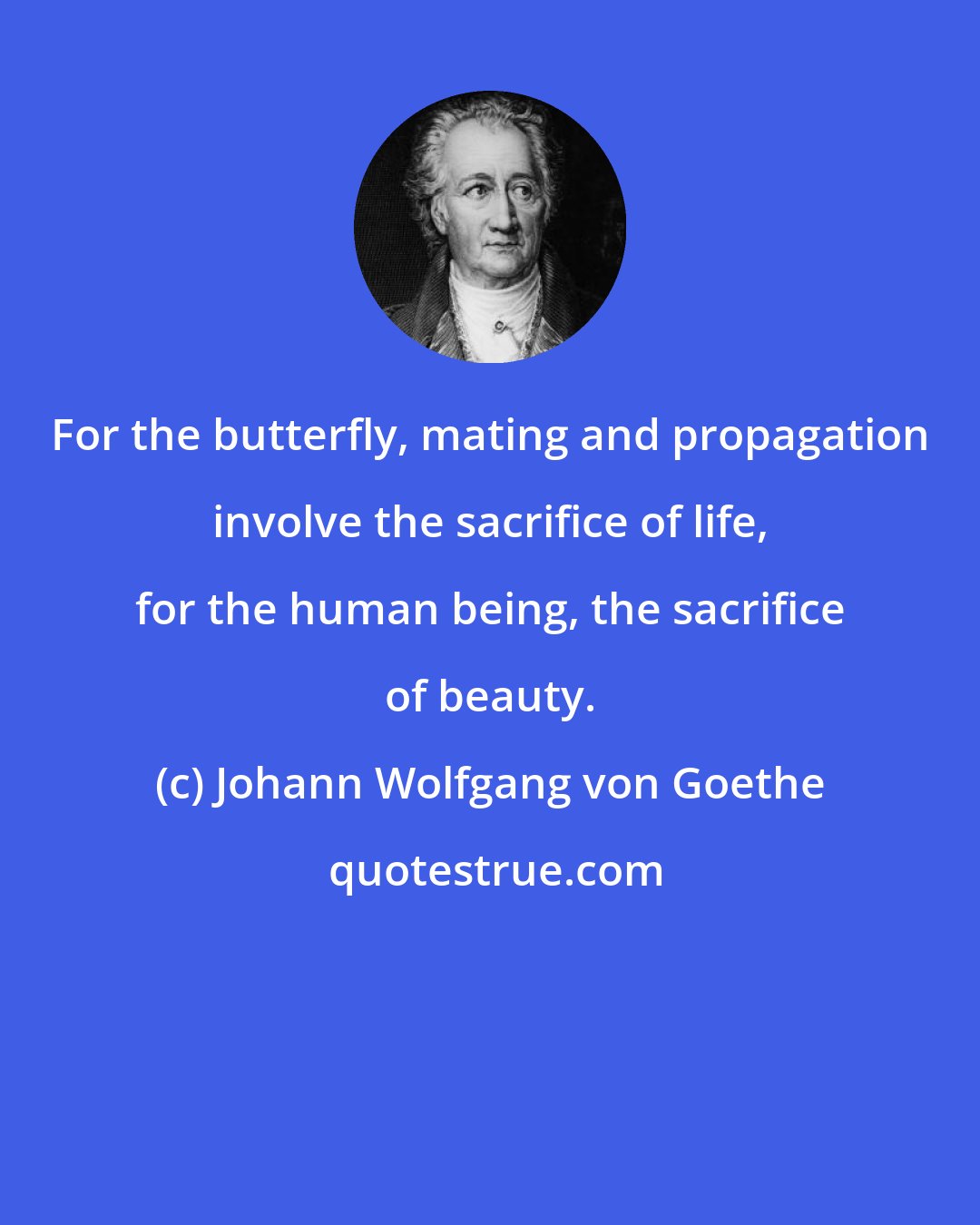 Johann Wolfgang von Goethe: For the butterfly, mating and propagation involve the sacrifice of life, for the human being, the sacrifice of beauty.