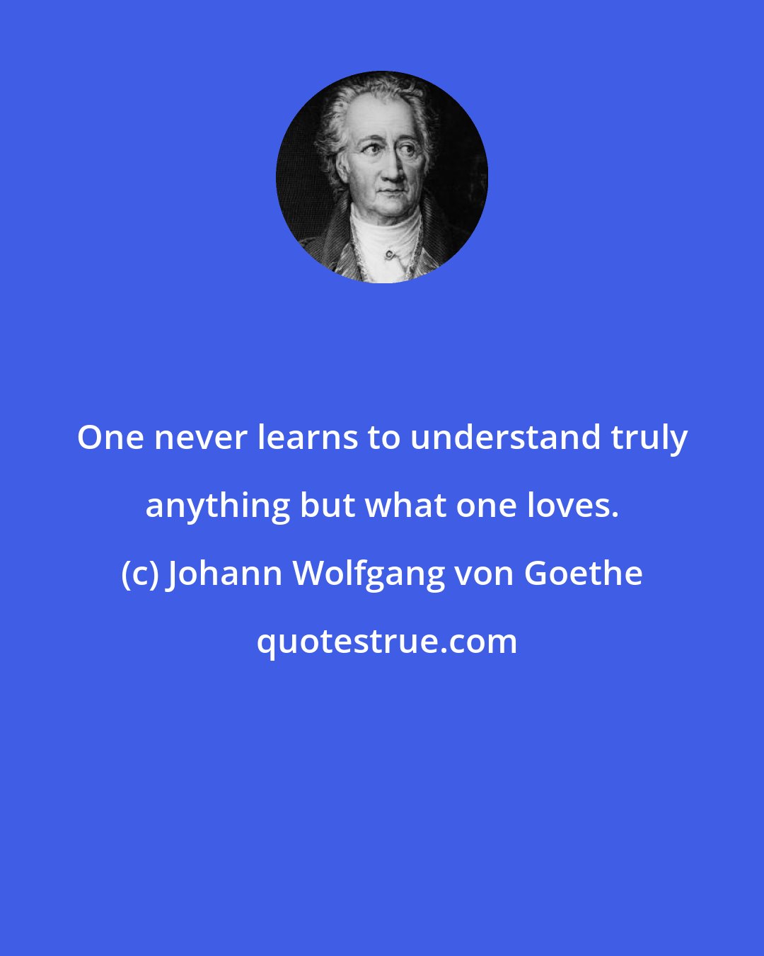 Johann Wolfgang von Goethe: One never learns to understand truly anything but what one loves.