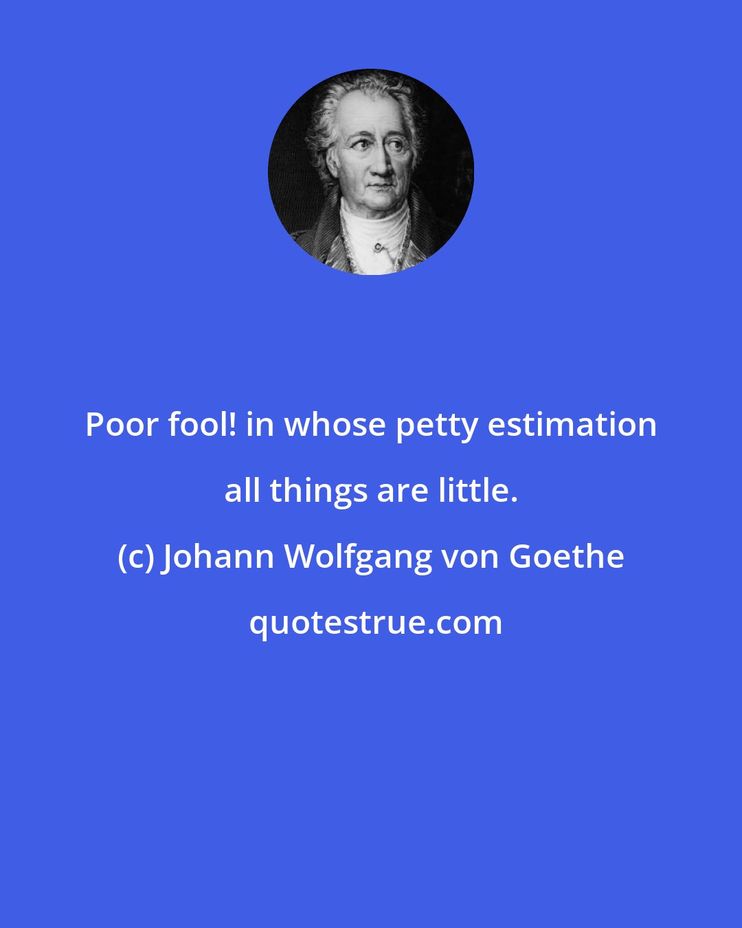 Johann Wolfgang von Goethe: Poor fool! in whose petty estimation all things are little.