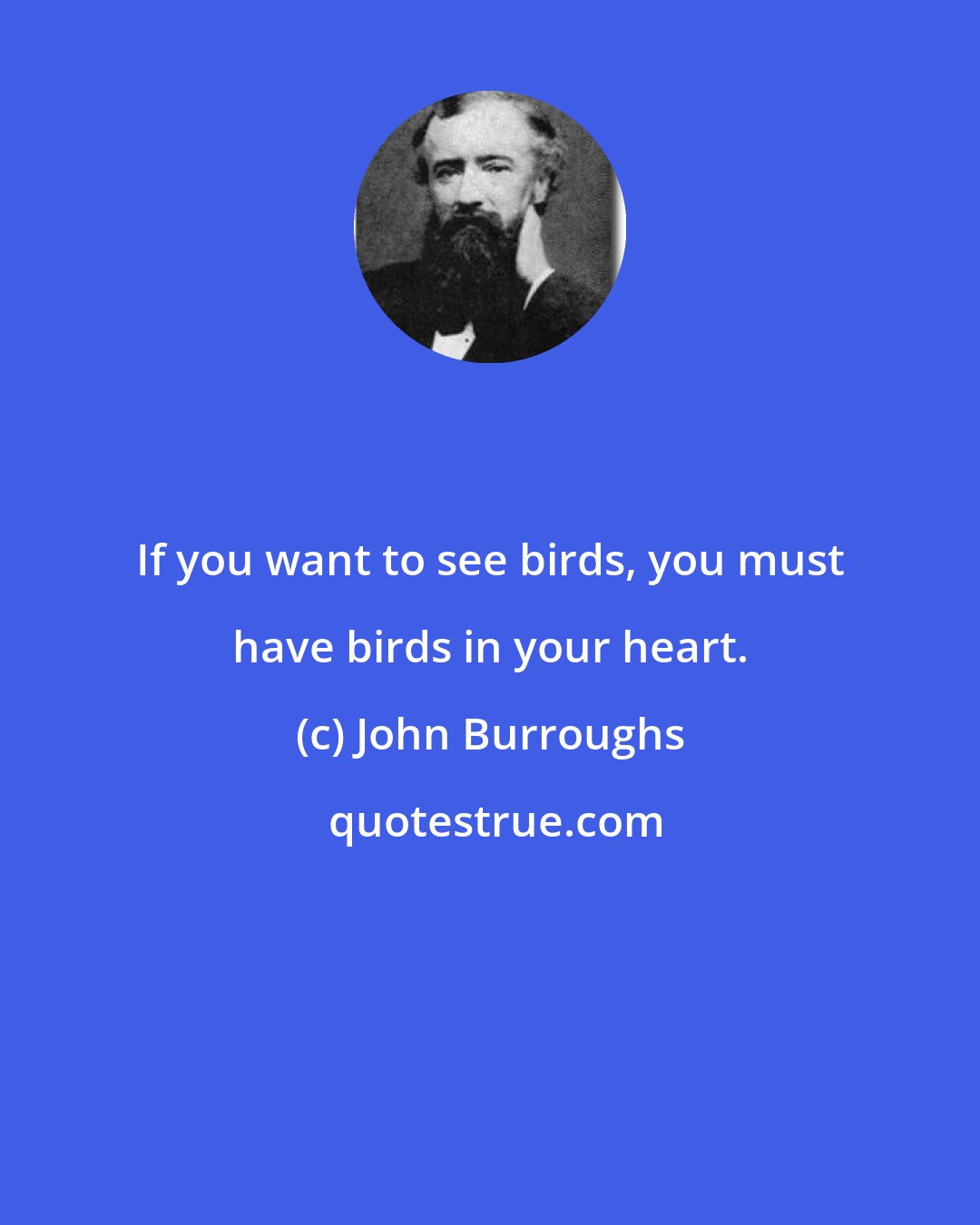 John Burroughs: If you want to see birds, you must have birds in your heart.