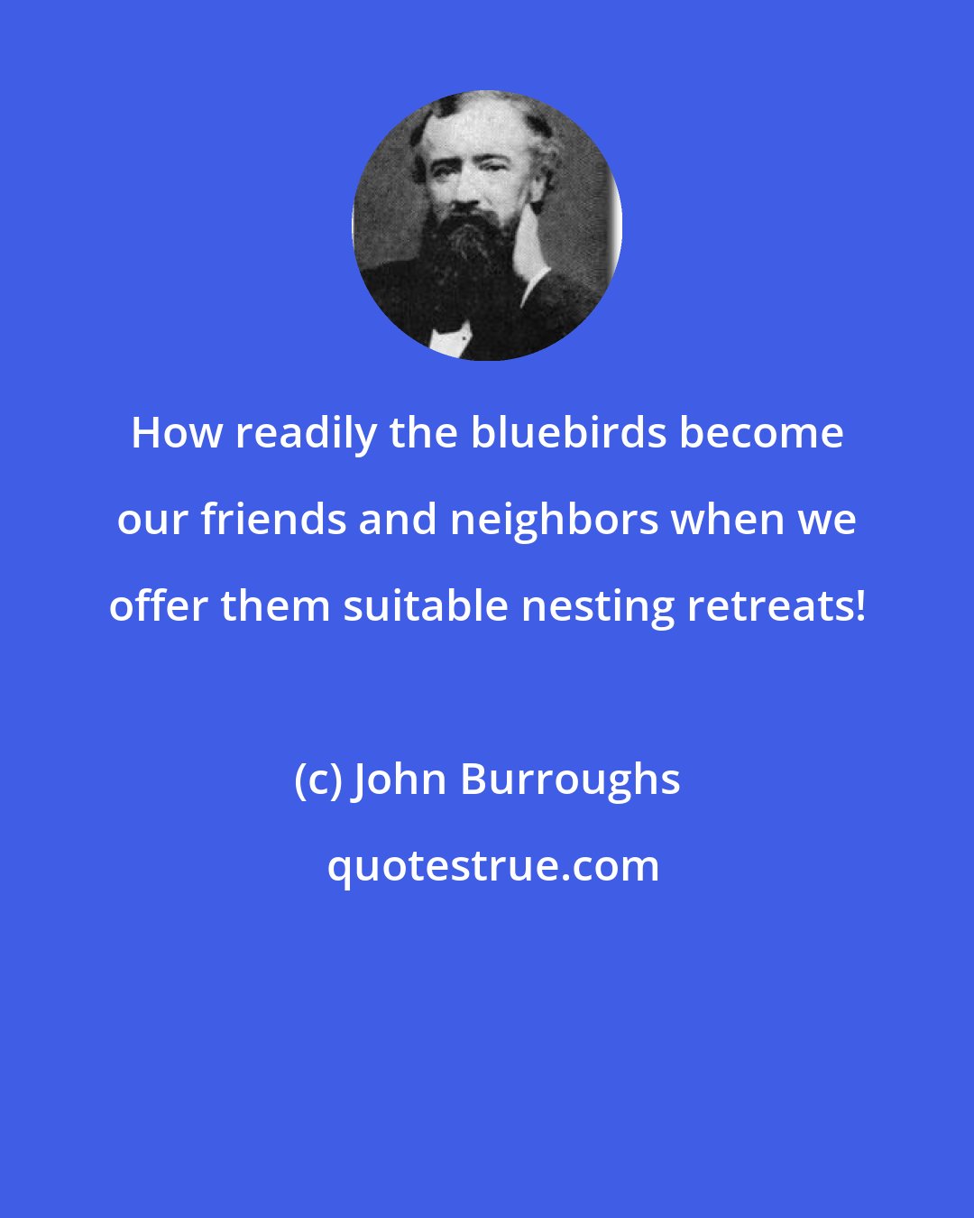 John Burroughs: How readily the bluebirds become our friends and neighbors when we offer them suitable nesting retreats!