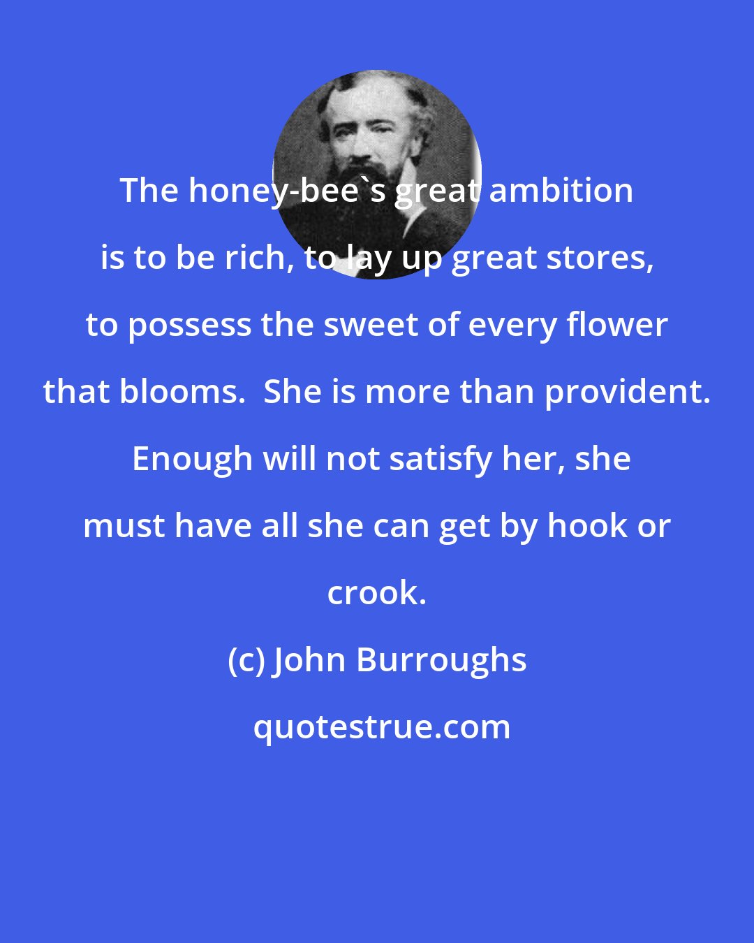 John Burroughs: The honey-bee's great ambition is to be rich, to lay up great stores, to possess the sweet of every flower that blooms.  She is more than provident.  Enough will not satisfy her, she must have all she can get by hook or crook.