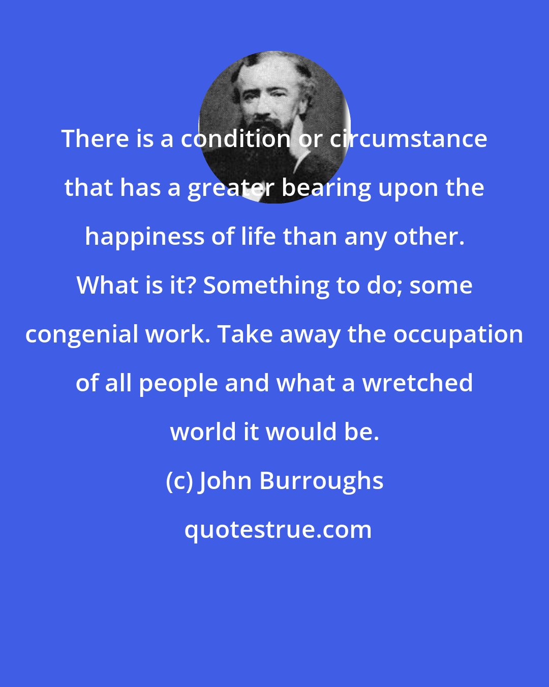 John Burroughs: There is a condition or circumstance that has a greater bearing upon the happiness of life than any other. What is it? Something to do; some congenial work. Take away the occupation of all people and what a wretched world it would be.