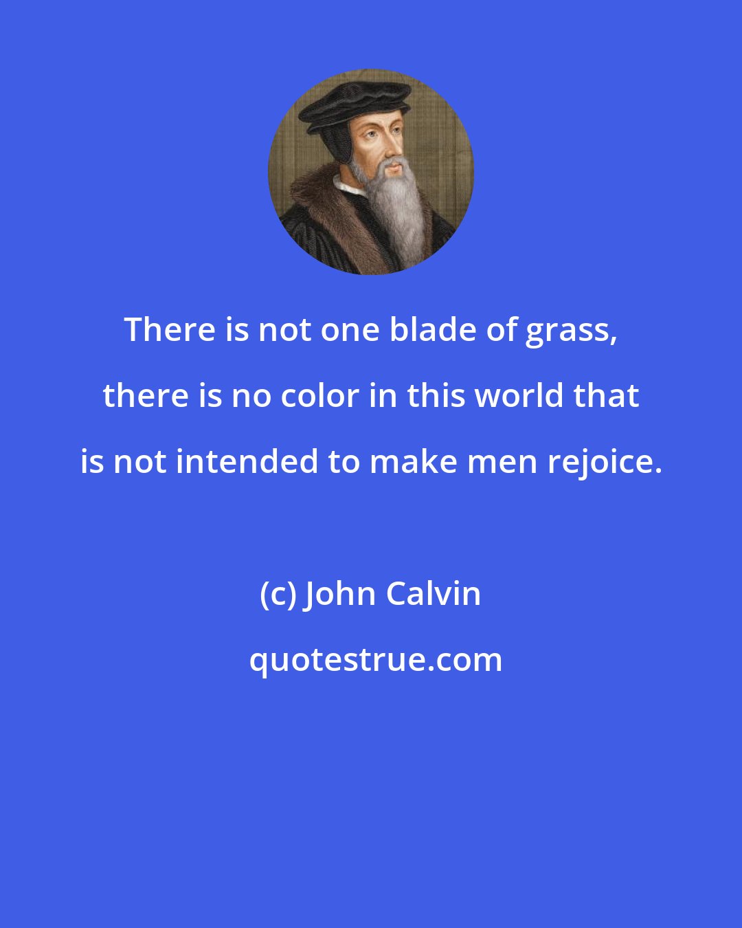 John Calvin: There is not one blade of grass, there is no color in this world that is not intended to make men rejoice.