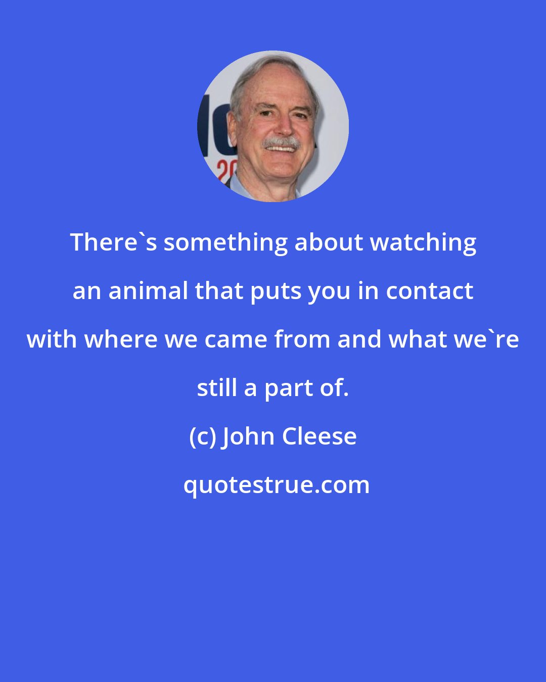 John Cleese: There's something about watching an animal that puts you in contact with where we came from and what we're still a part of.