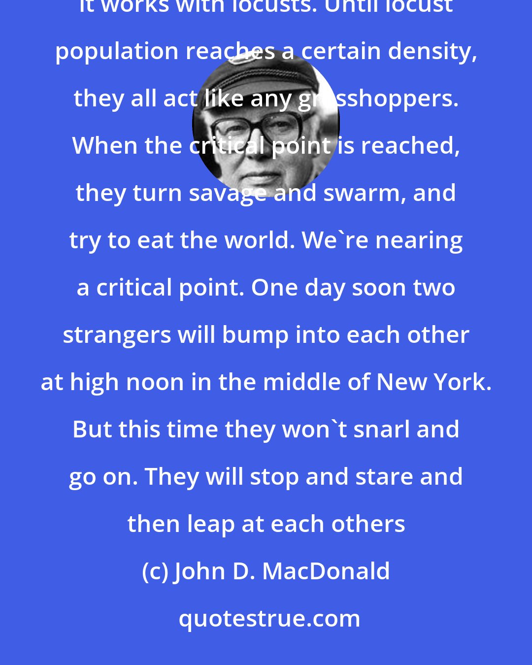 John D. MacDonald: New York is where it is going to begin, I think. You can see it coming. The insect experts have learned how it works with locusts. Until locust population reaches a certain density, they all act like any grasshoppers. When the critical point is reached, they turn savage and swarm, and try to eat the world. We're nearing a critical point. One day soon two strangers will bump into each other at high noon in the middle of New York. But this time they won't snarl and go on. They will stop and stare and then leap at each others