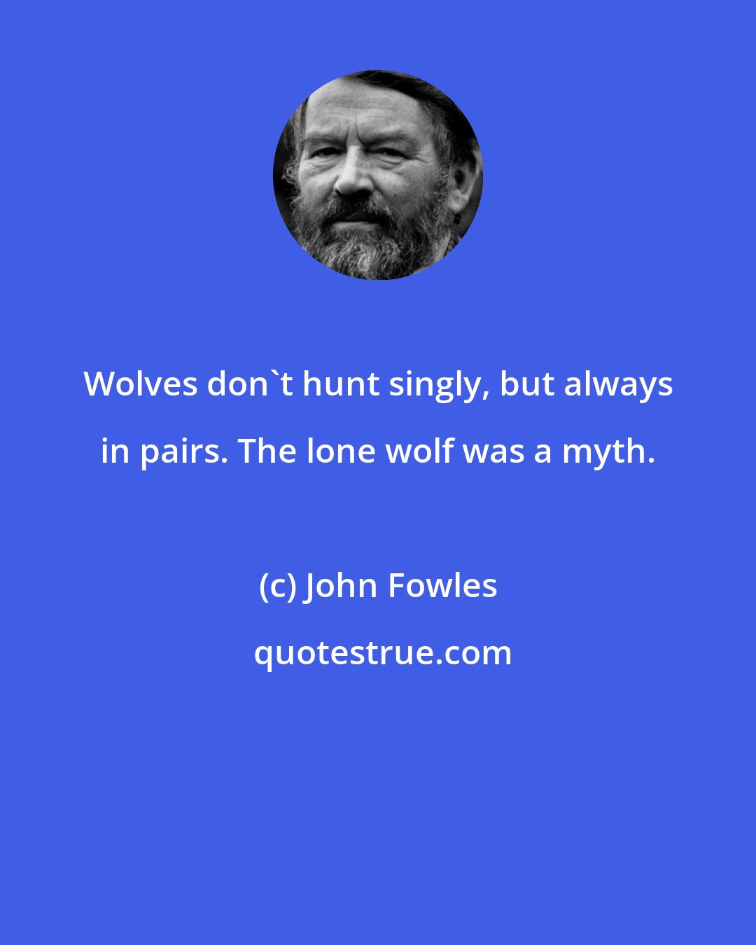 John Fowles: Wolves don't hunt singly, but always in pairs. The lone wolf was a myth.