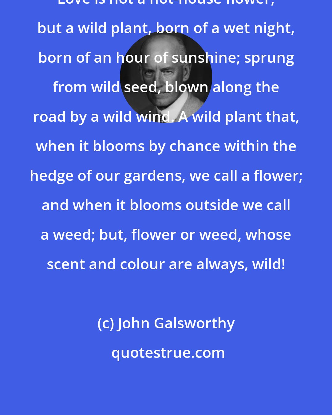 John Galsworthy: Love is not a hot-house flower, but a wild plant, born of a wet night, born of an hour of sunshine; sprung from wild seed, blown along the road by a wild wind. A wild plant that, when it blooms by chance within the hedge of our gardens, we call a flower; and when it blooms outside we call a weed; but, flower or weed, whose scent and colour are always, wild!