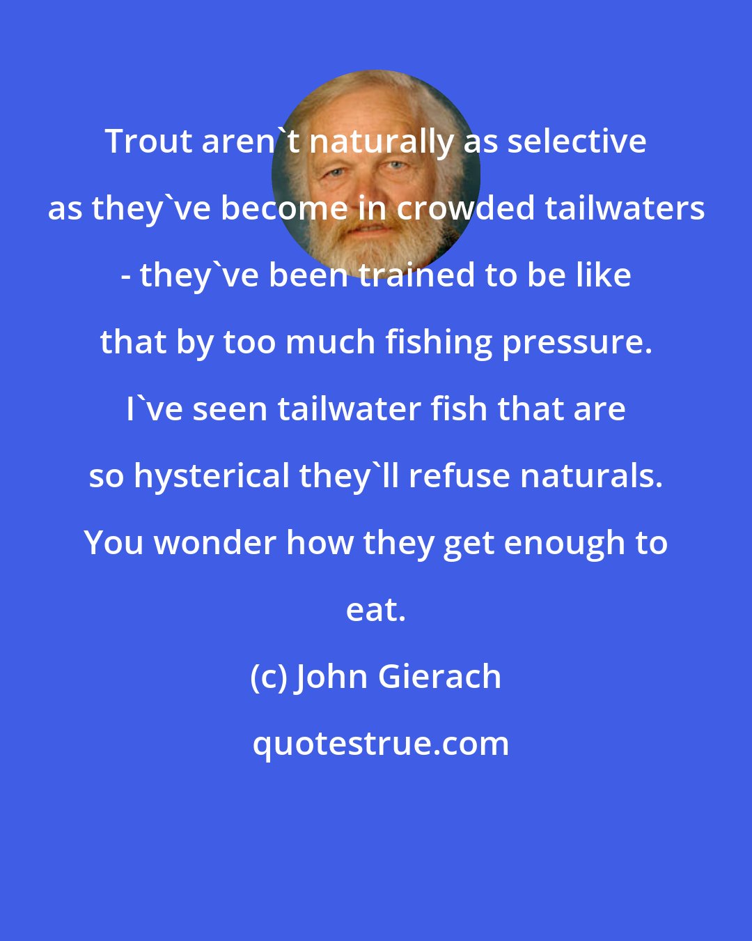 John Gierach: Trout aren't naturally as selective as they've become in crowded tailwaters - they've been trained to be like that by too much fishing pressure. I've seen tailwater fish that are so hysterical they'll refuse naturals. You wonder how they get enough to eat.