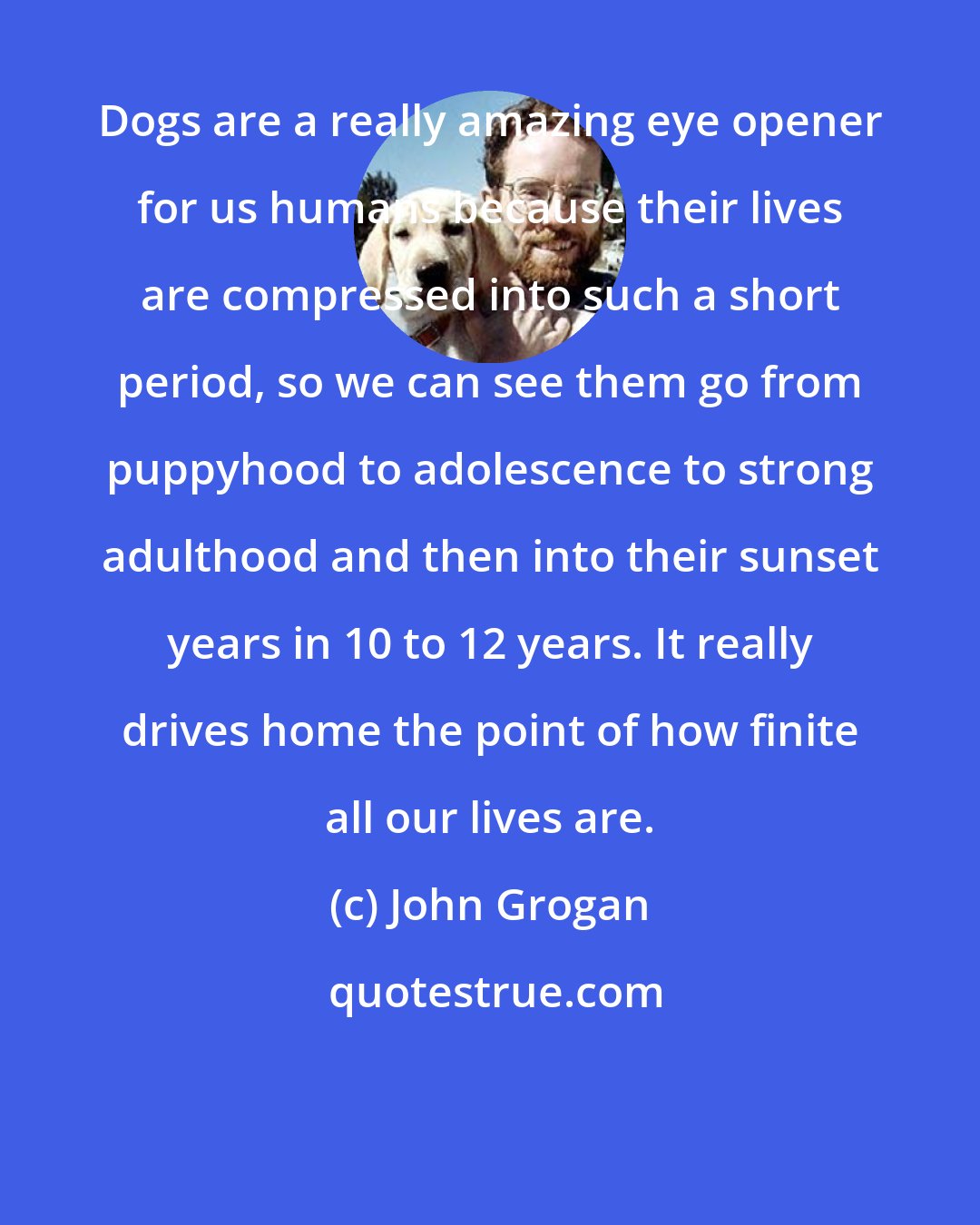 John Grogan: Dogs are a really amazing eye opener for us humans because their lives are compressed into such a short period, so we can see them go from puppyhood to adolescence to strong adulthood and then into their sunset years in 10 to 12 years. It really drives home the point of how finite all our lives are.