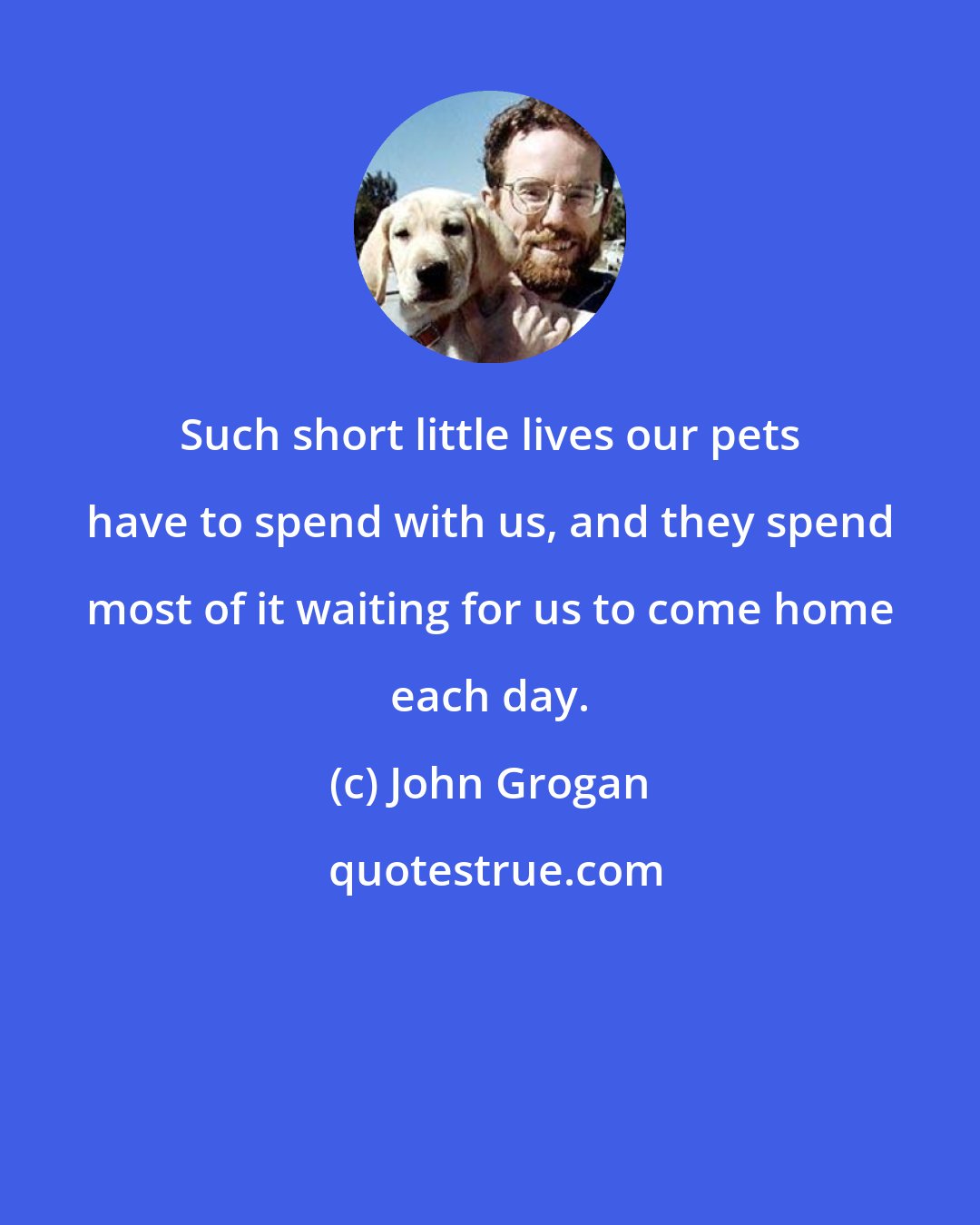 John Grogan: Such short little lives our pets have to spend with us, and they spend most of it waiting for us to come home each day.