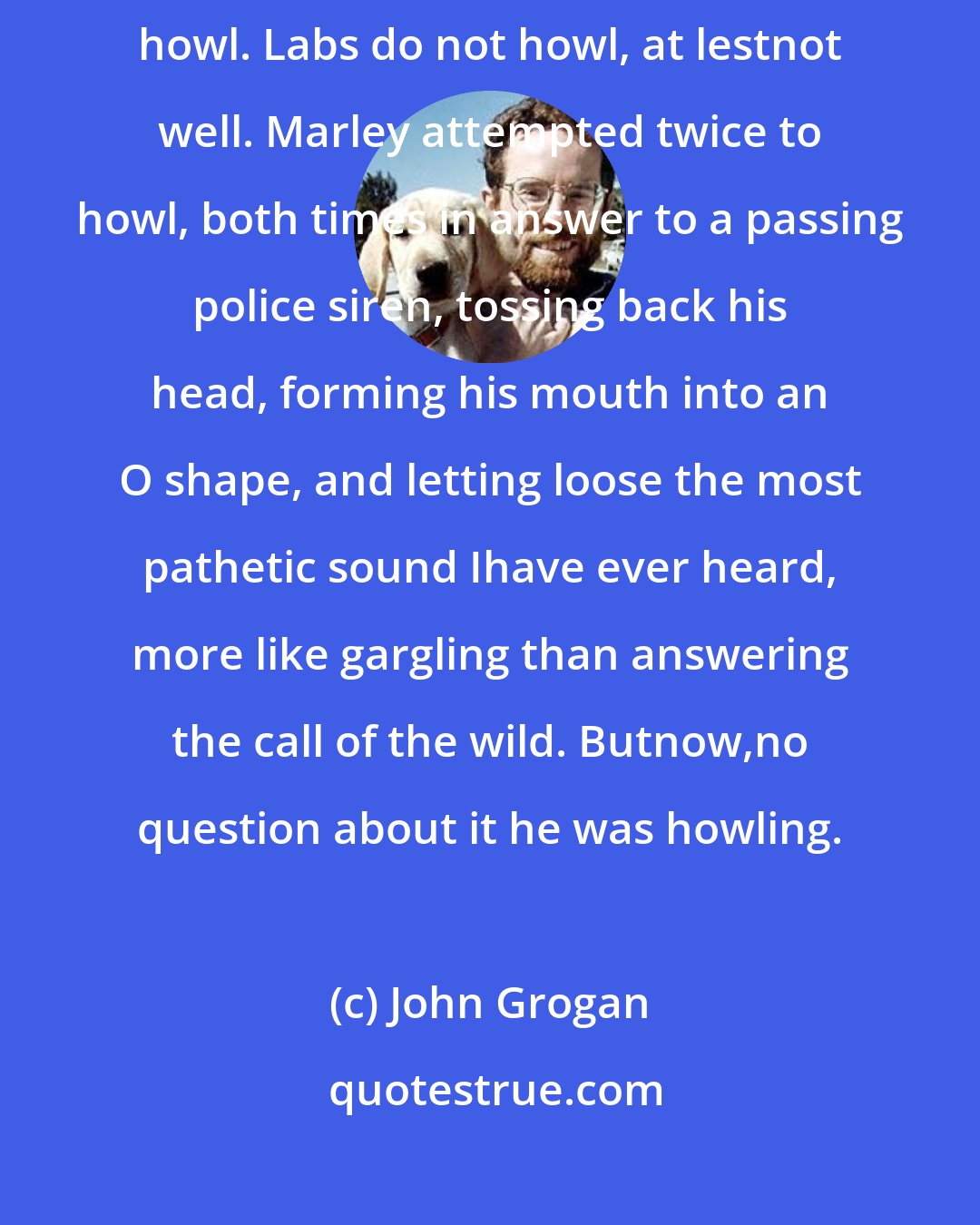 John Grogan: Just so you know Labrodor retrivers do not howl.Begals Howl.Wolves howl. Labs do not howl, at lestnot well. Marley attempted twice to howl, both times in answer to a passing police siren, tossing back his head, forming his mouth into an O shape, and letting loose the most pathetic sound Ihave ever heard, more like gargling than answering the call of the wild. Butnow,no question about it he was howling.