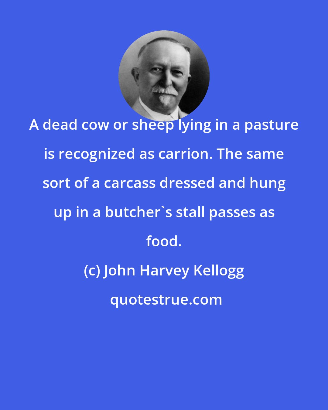 John Harvey Kellogg: A dead cow or sheep lying in a pasture is recognized as carrion. The same sort of a carcass dressed and hung up in a butcher's stall passes as food.