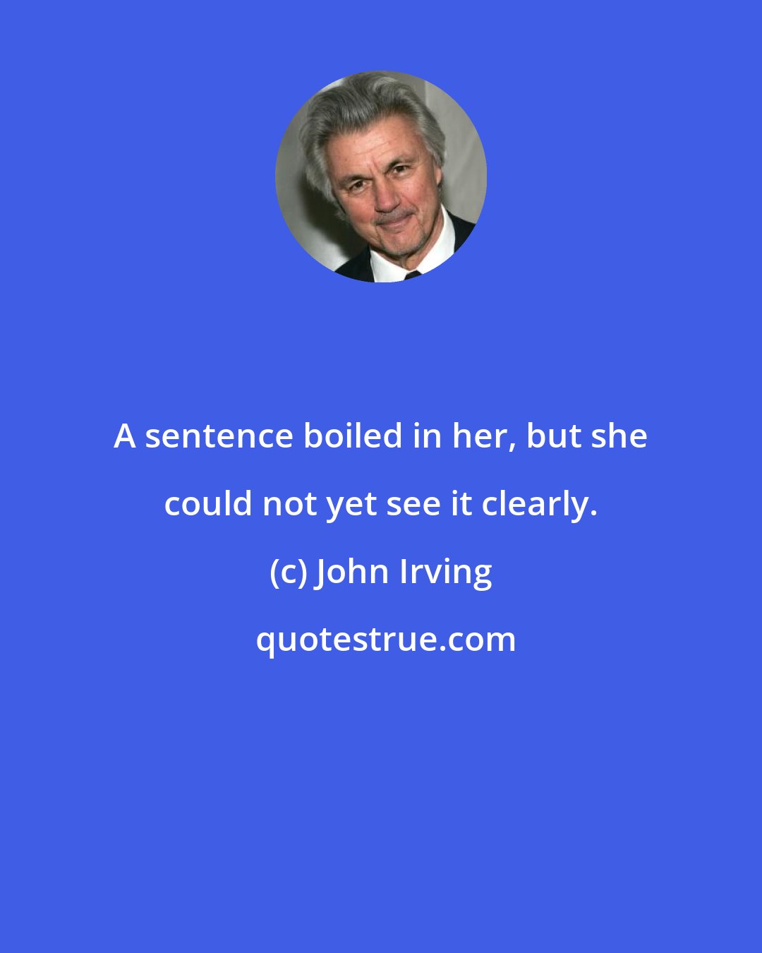 John Irving: A sentence boiled in her, but she could not yet see it clearly.