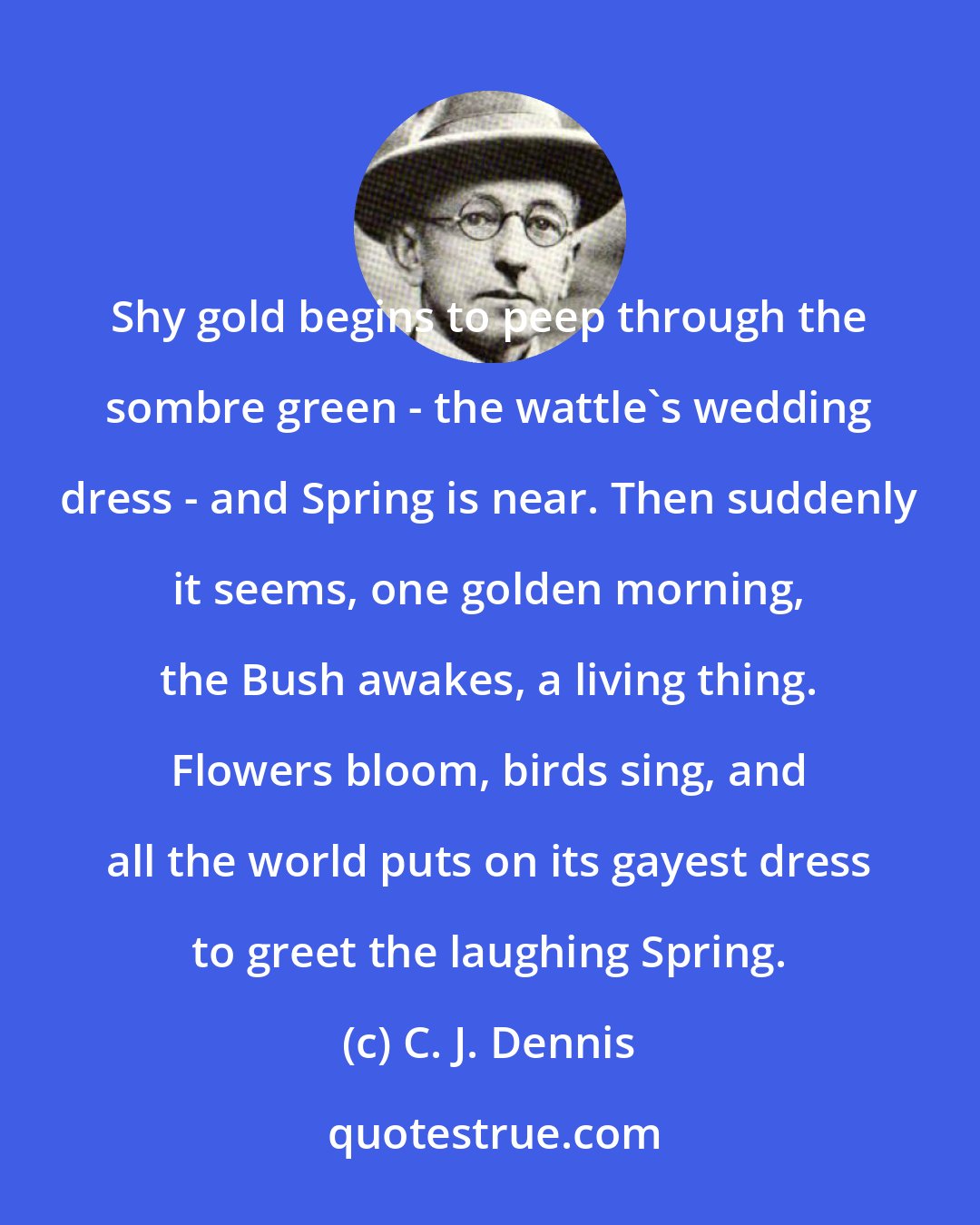 C. J. Dennis: Shy gold begins to peep through the sombre green - the wattle's wedding dress - and Spring is near. Then suddenly it seems, one golden morning, the Bush awakes, a living thing. Flowers bloom, birds sing, and all the world puts on its gayest dress to greet the laughing Spring.