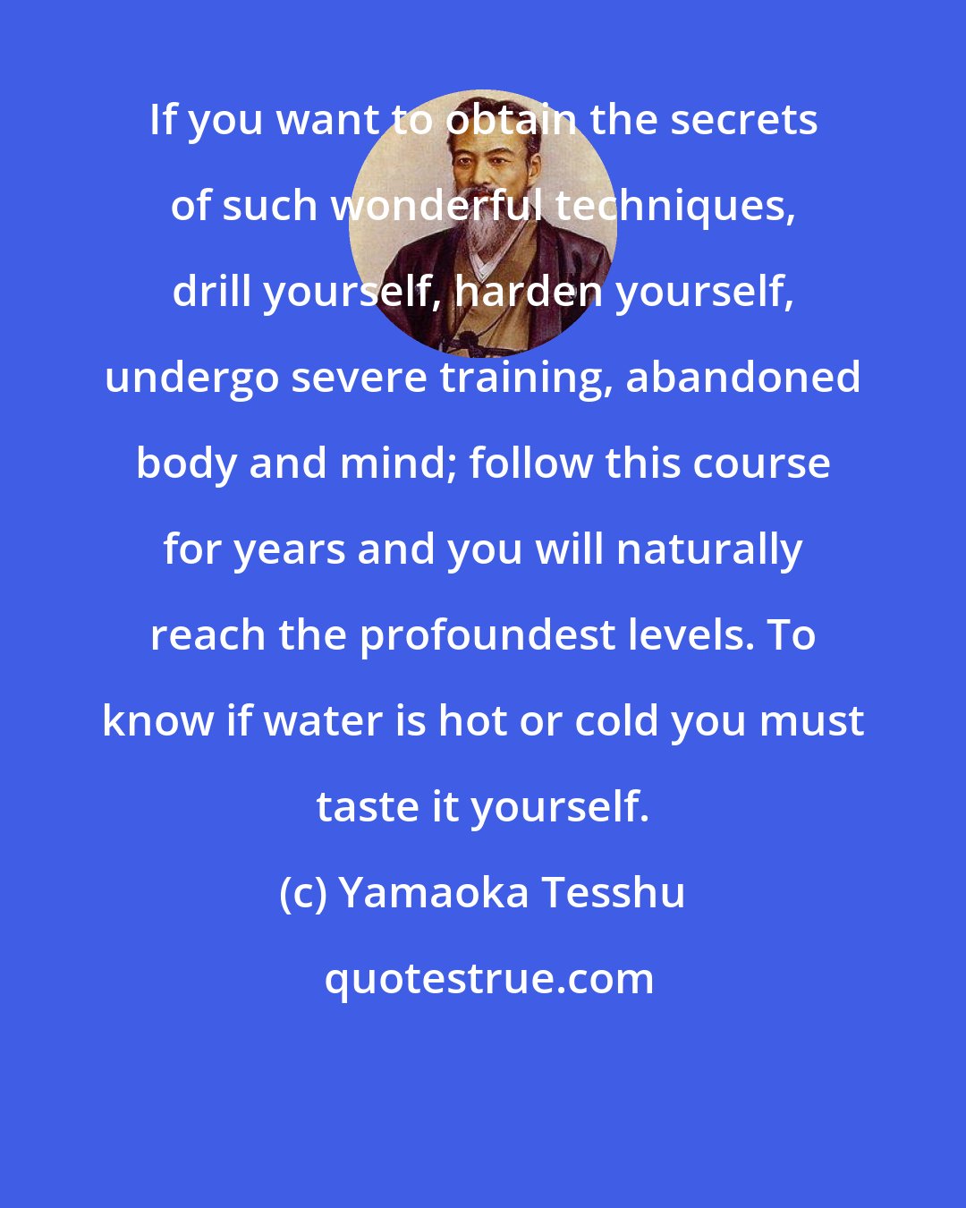 Yamaoka Tesshu: If you want to obtain the secrets of such wonderful techniques, drill yourself, harden yourself, undergo severe training, abandoned body and mind; follow this course for years and you will naturally reach the profoundest levels. To know if water is hot or cold you must taste it yourself.