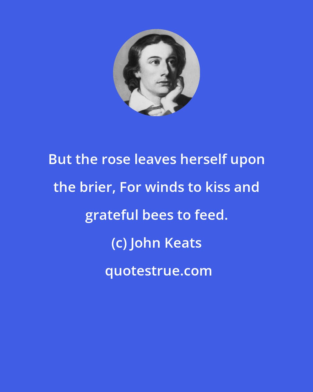 John Keats: But the rose leaves herself upon the brier, For winds to kiss and grateful bees to feed.