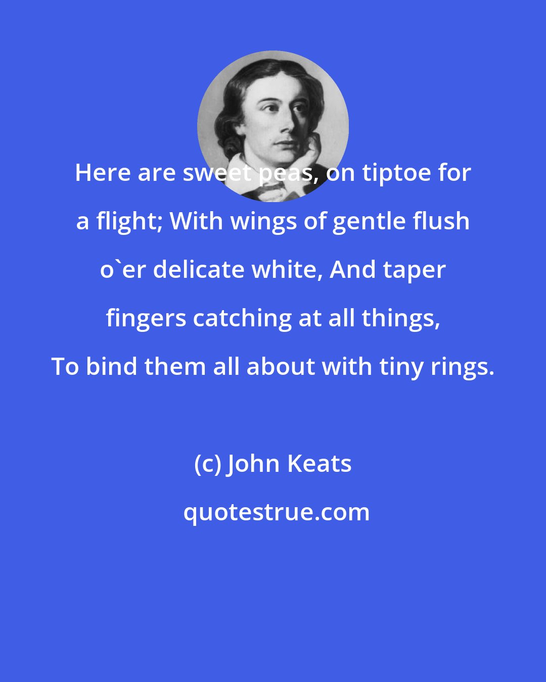 John Keats: Here are sweet peas, on tiptoe for a flight; With wings of gentle flush o'er delicate white, And taper fingers catching at all things, To bind them all about with tiny rings.