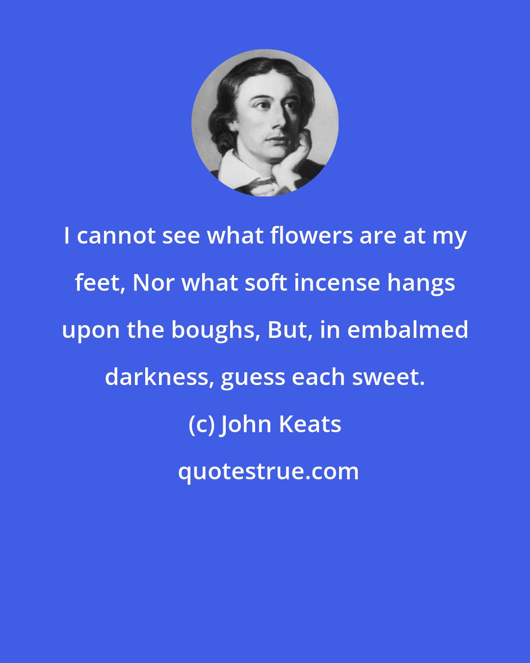 John Keats: I cannot see what flowers are at my feet, Nor what soft incense hangs upon the boughs, But, in embalmed darkness, guess each sweet.