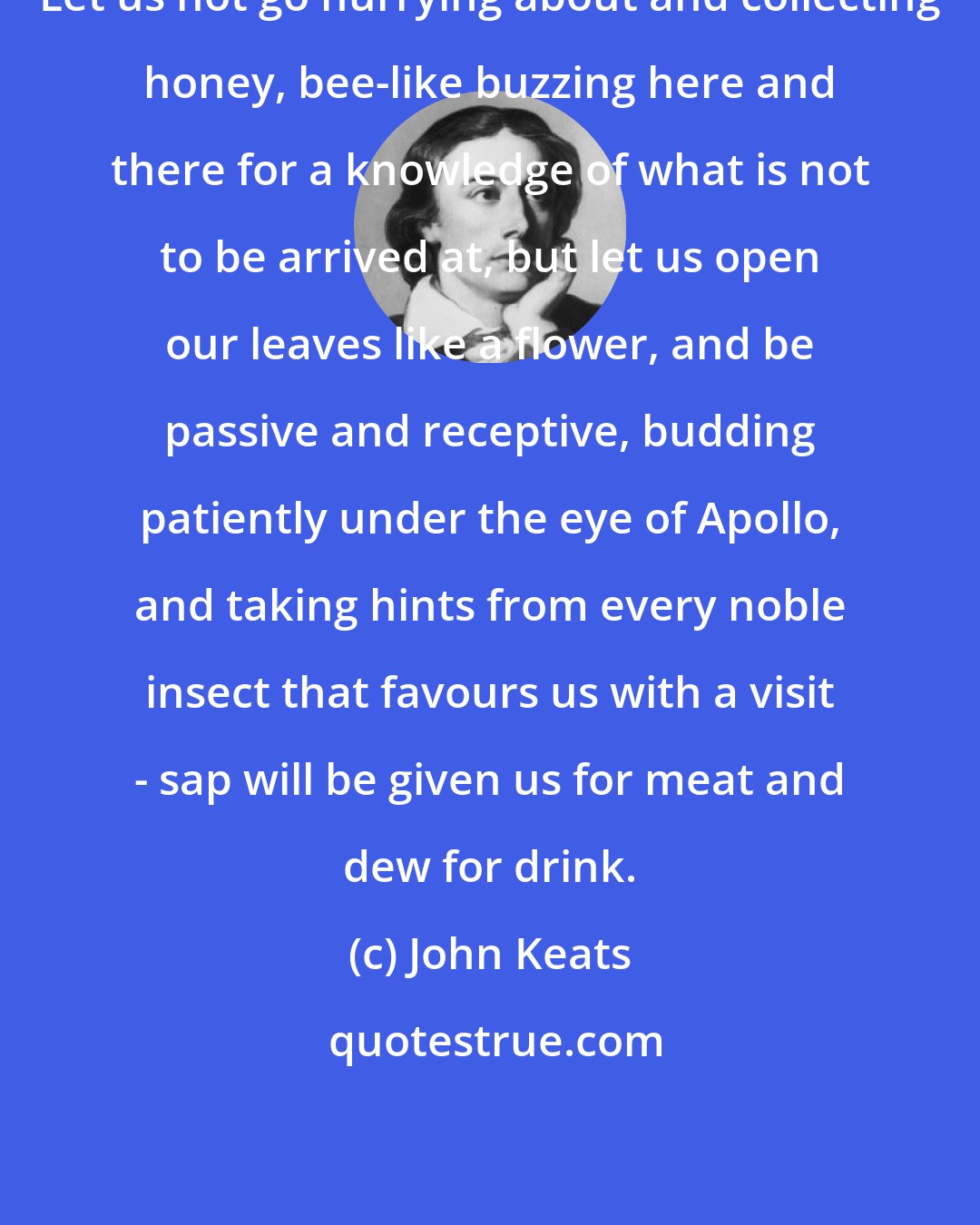 John Keats: Let us not go hurrying about and collecting honey, bee-like buzzing here and there for a knowledge of what is not to be arrived at, but let us open our leaves like a flower, and be passive and receptive, budding patiently under the eye of Apollo, and taking hints from every noble insect that favours us with a visit - sap will be given us for meat and dew for drink.