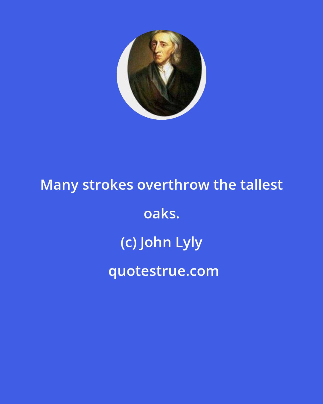 John Lyly: Many strokes overthrow the tallest oaks.