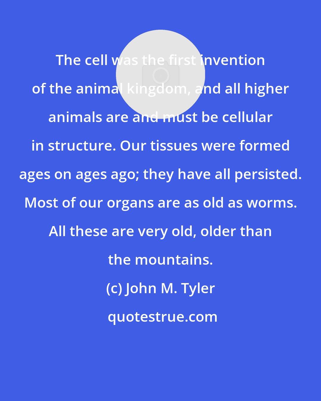 John M. Tyler: The cell was the first invention of the animal kingdom, and all higher animals are and must be cellular in structure. Our tissues were formed ages on ages ago; they have all persisted. Most of our organs are as old as worms. All these are very old, older than the mountains.