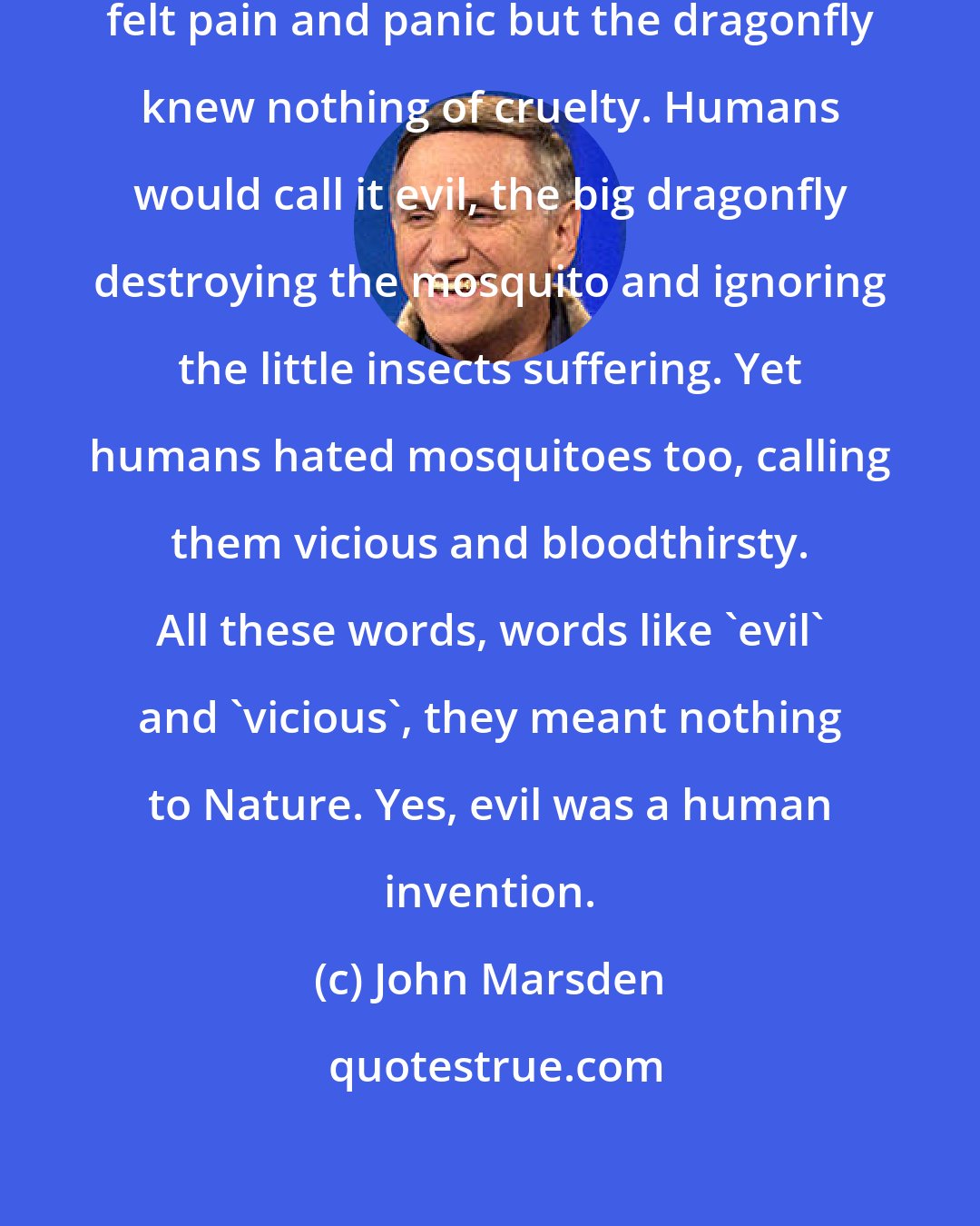 John Marsden: So, that was Nature's way. The mosquito felt pain and panic but the dragonfly knew nothing of cruelty. Humans would call it evil, the big dragonfly destroying the mosquito and ignoring the little insects suffering. Yet humans hated mosquitoes too, calling them vicious and bloodthirsty. All these words, words like 'evil' and 'vicious', they meant nothing to Nature. Yes, evil was a human invention.