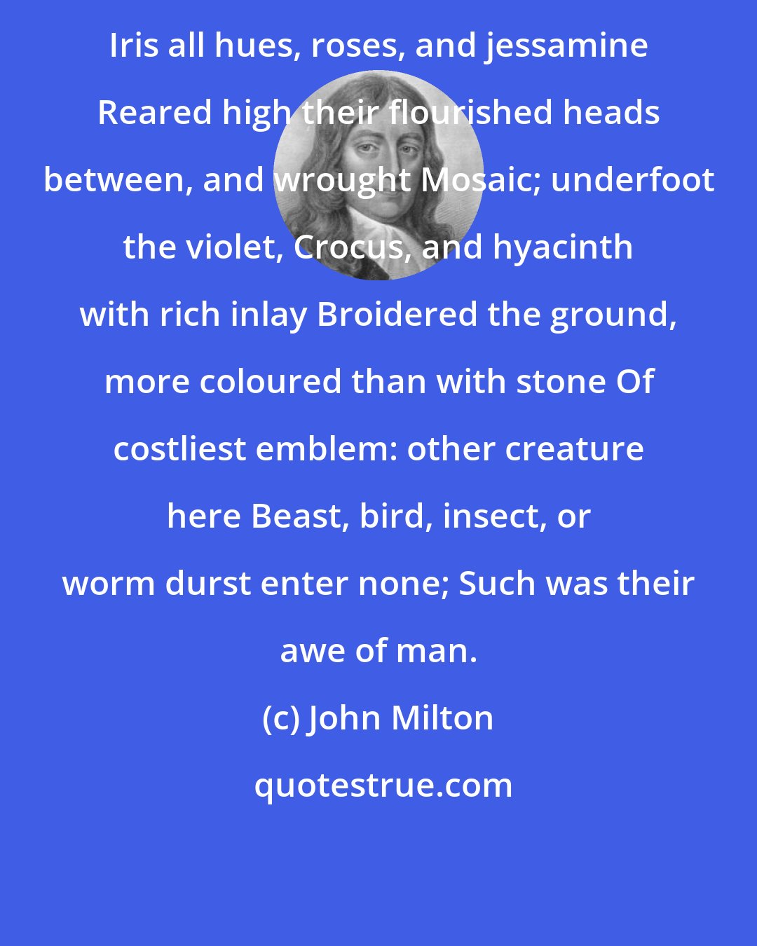 John Milton: Iris all hues, roses, and jessamine Reared high their flourished heads between, and wrought Mosaic; underfoot the violet, Crocus, and hyacinth with rich inlay Broidered the ground, more coloured than with stone Of costliest emblem: other creature here Beast, bird, insect, or worm durst enter none; Such was their awe of man.