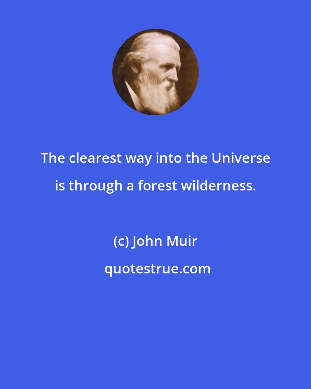 John Muir: The clearest way into the Universe is through a forest wilderness.
