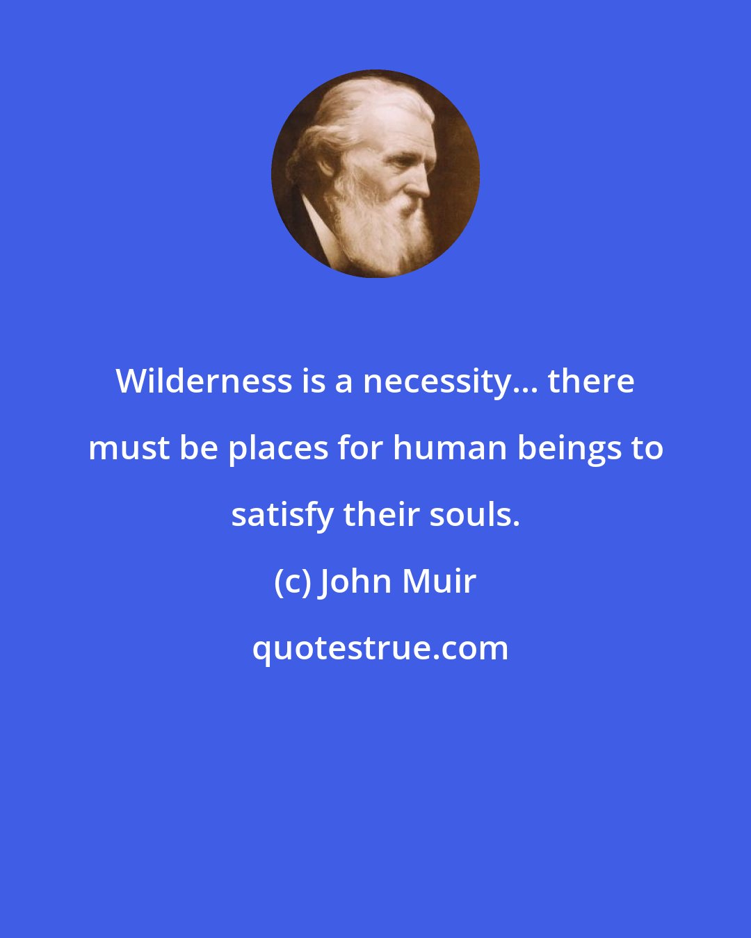 John Muir: Wilderness is a necessity... there must be places for human beings to satisfy their souls.