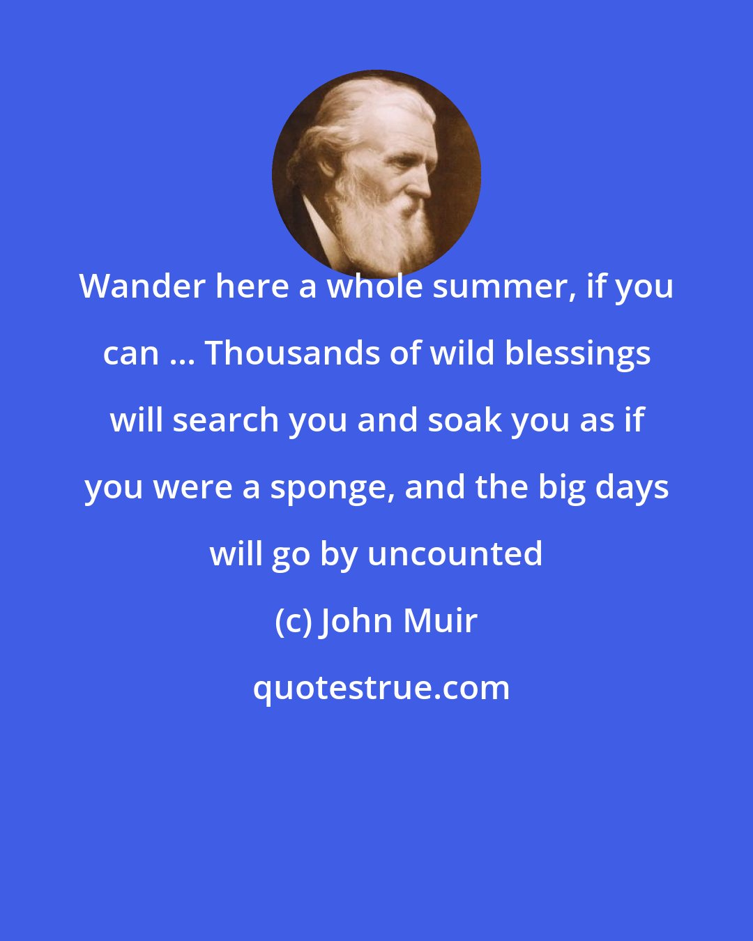 John Muir: Wander here a whole summer, if you can ... Thousands of wild blessings will search you and soak you as if you were a sponge, and the big days will go by uncounted