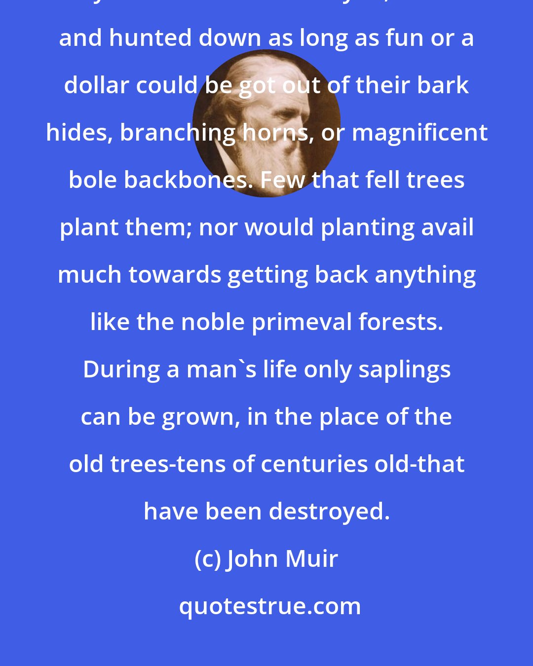 John Muir: Any fool can destroy trees. They cannot run away; and if they could, they would still be destroyed,-chased and hunted down as long as fun or a dollar could be got out of their bark hides, branching horns, or magnificent bole backbones. Few that fell trees plant them; nor would planting avail much towards getting back anything like the noble primeval forests. During a man's life only saplings can be grown, in the place of the old trees-tens of centuries old-that have been destroyed.