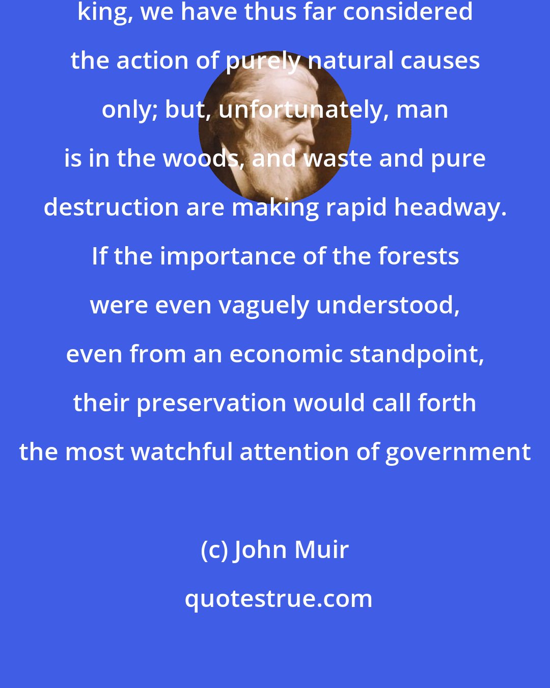 John Muir: In studying the fate of our forest king, we have thus far considered the action of purely natural causes only; but, unfortunately, man is in the woods, and waste and pure destruction are making rapid headway. If the importance of the forests were even vaguely understood, even from an economic standpoint, their preservation would call forth the most watchful attention of government