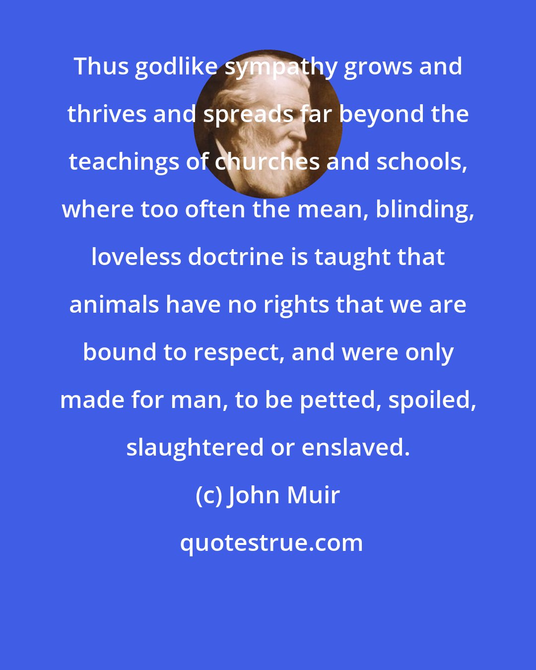 John Muir: Thus godlike sympathy grows and thrives and spreads far beyond the teachings of churches and schools, where too often the mean, blinding, loveless doctrine is taught that animals have no rights that we are bound to respect, and were only made for man, to be petted, spoiled, slaughtered or enslaved.