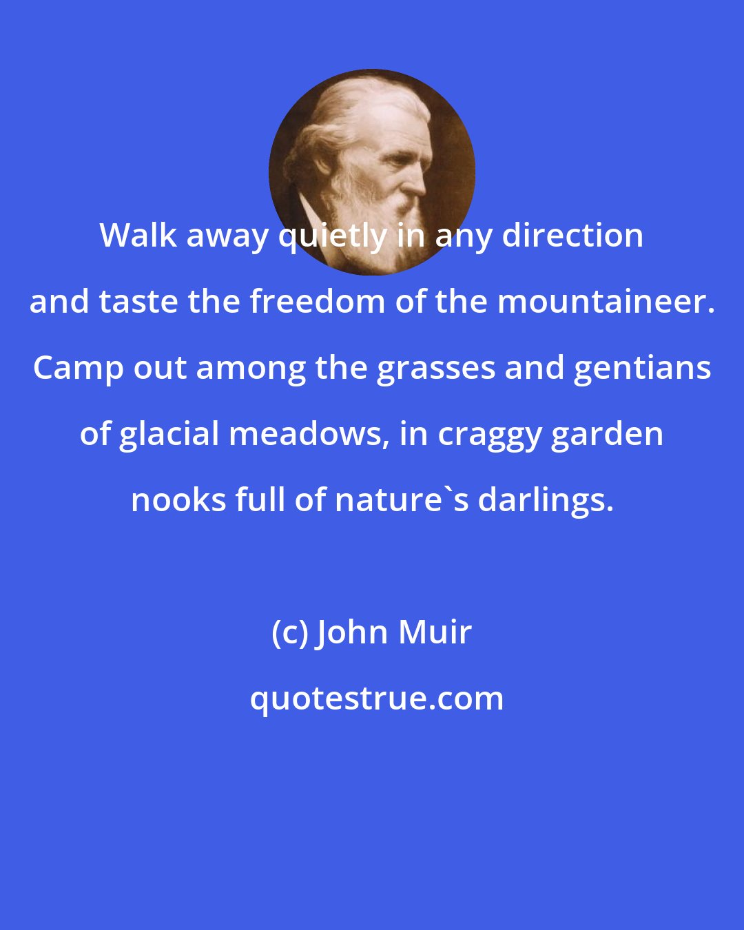 John Muir: Walk away quietly in any direction and taste the freedom of the mountaineer. Camp out among the grasses and gentians of glacial meadows, in craggy garden nooks full of nature's darlings.
