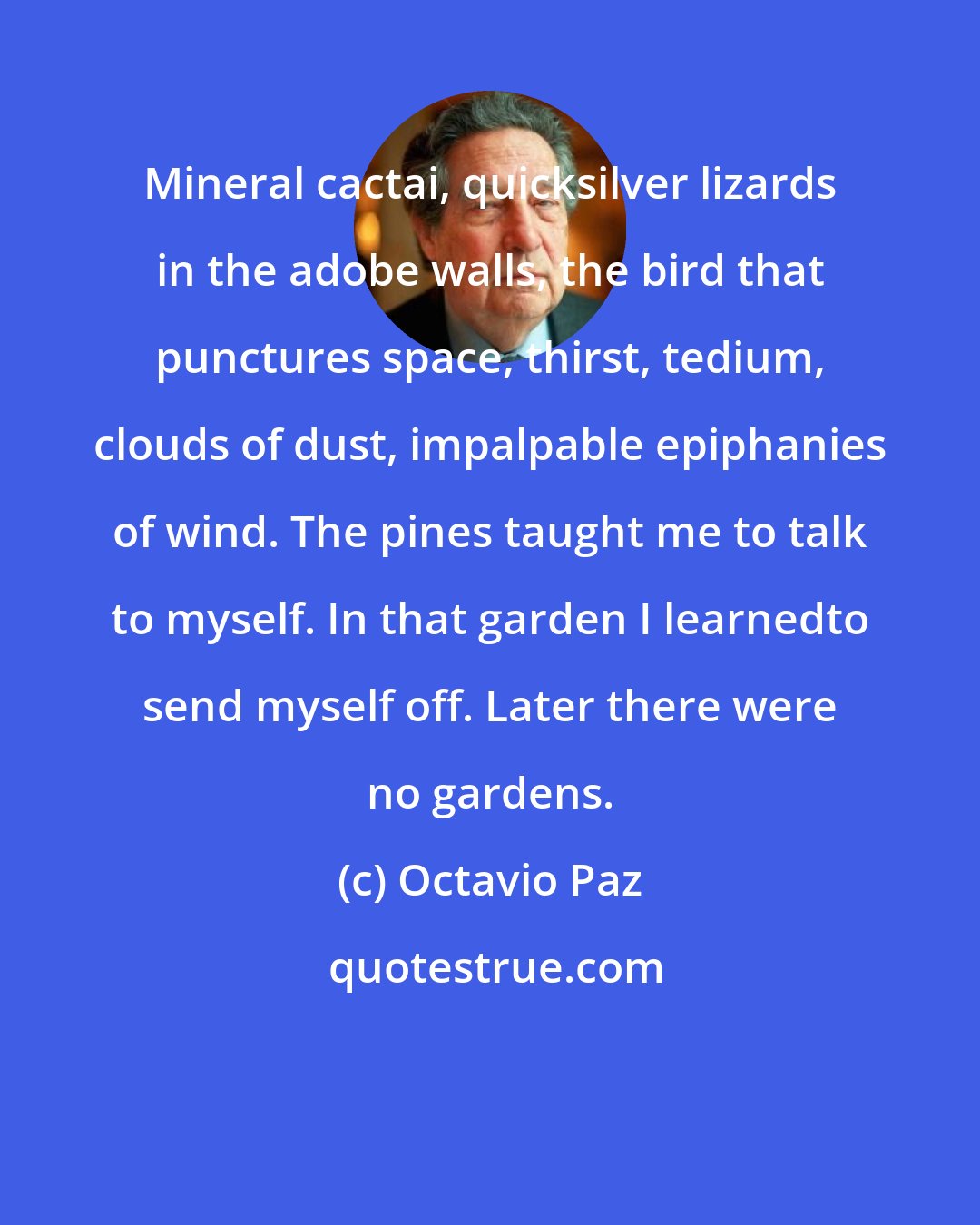 Octavio Paz: Mineral cactai, quicksilver lizards in the adobe walls, the bird that punctures space, thirst, tedium, clouds of dust, impalpable epiphanies of wind. The pines taught me to talk to myself. In that garden I learnedto send myself off. Later there were no gardens.