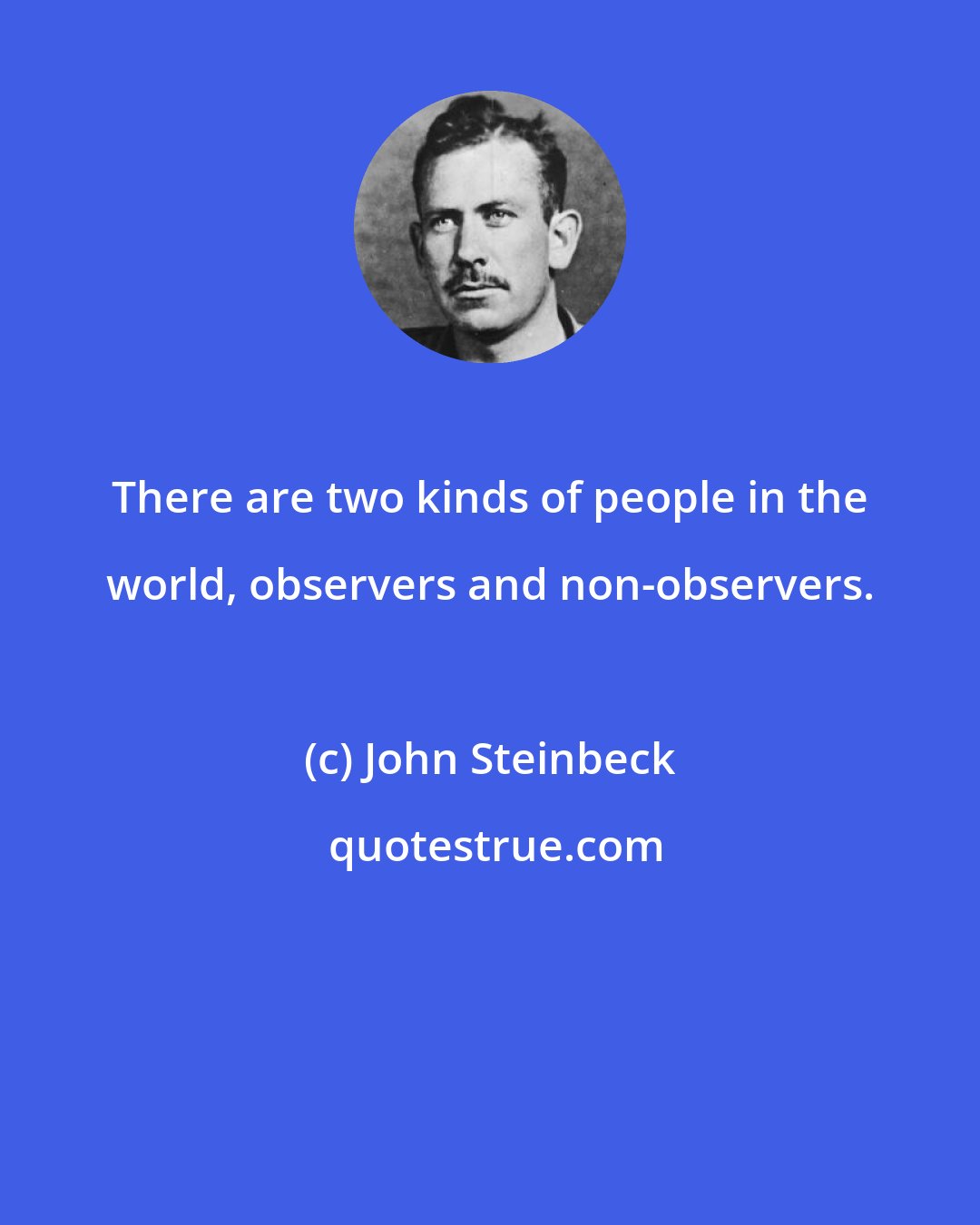 John Steinbeck: There are two kinds of people in the world, observers and non-observers.
