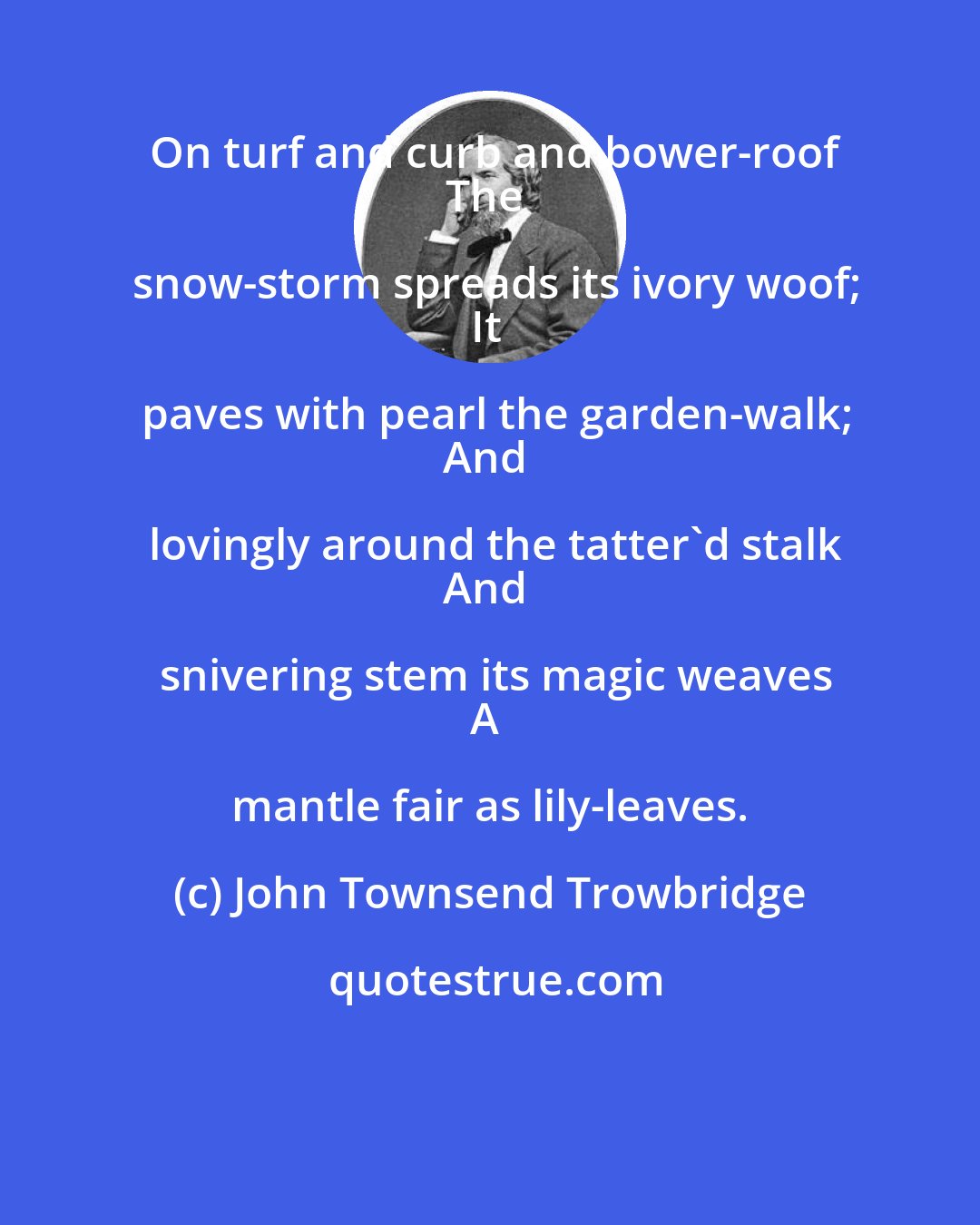 John Townsend Trowbridge: On turf and curb and bower-roof
The snow-storm spreads its ivory woof;
It paves with pearl the garden-walk;
And lovingly around the tatter'd stalk
And snivering stem its magic weaves
A mantle fair as lily-leaves.