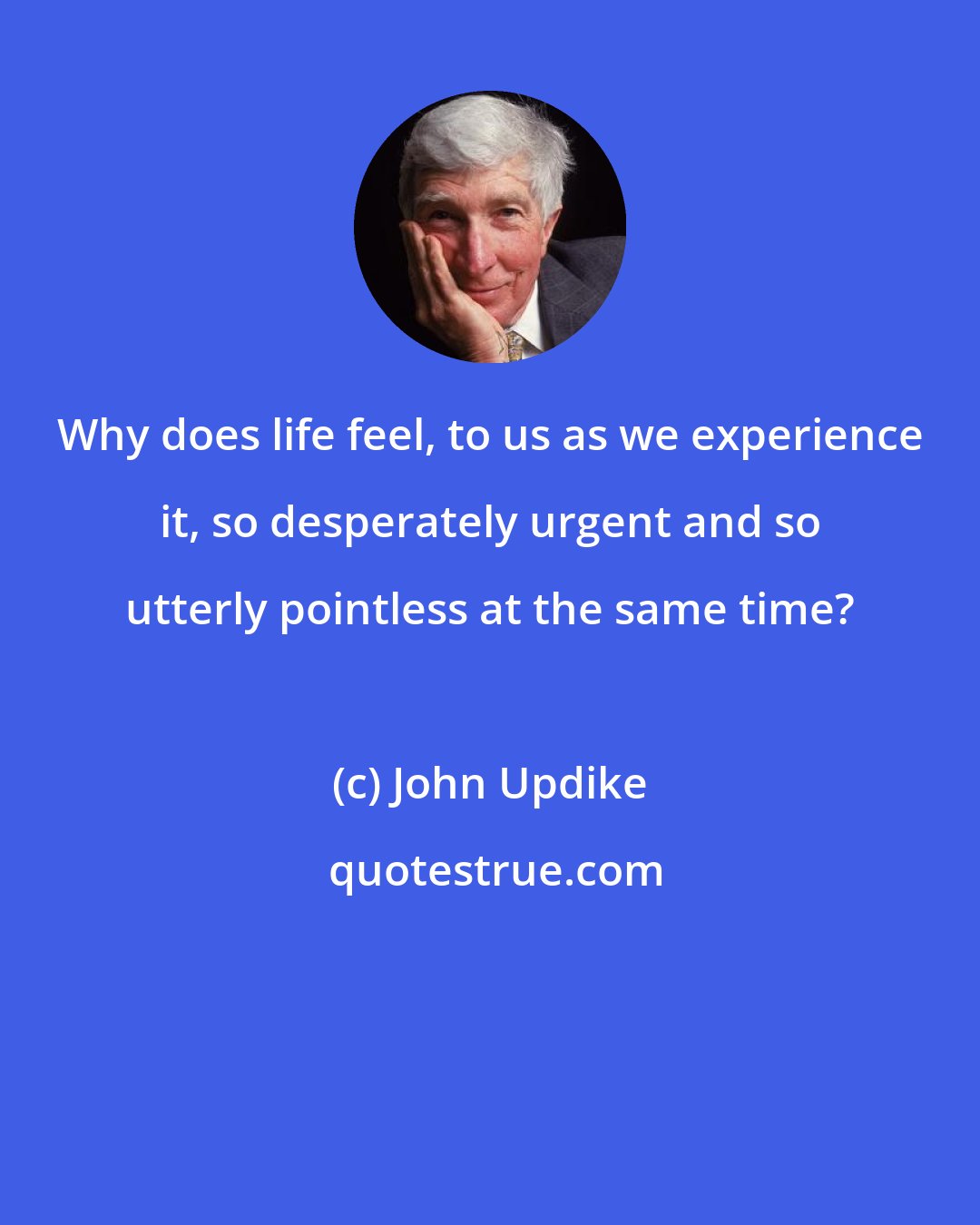 John Updike: Why does life feel, to us as we experience it, so desperately urgent and so utterly pointless at the same time?