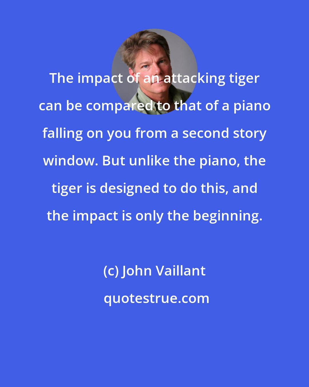 John Vaillant: The impact of an attacking tiger can be compared to that of a piano falling on you from a second story window. But unlike the piano, the tiger is designed to do this, and the impact is only the beginning.