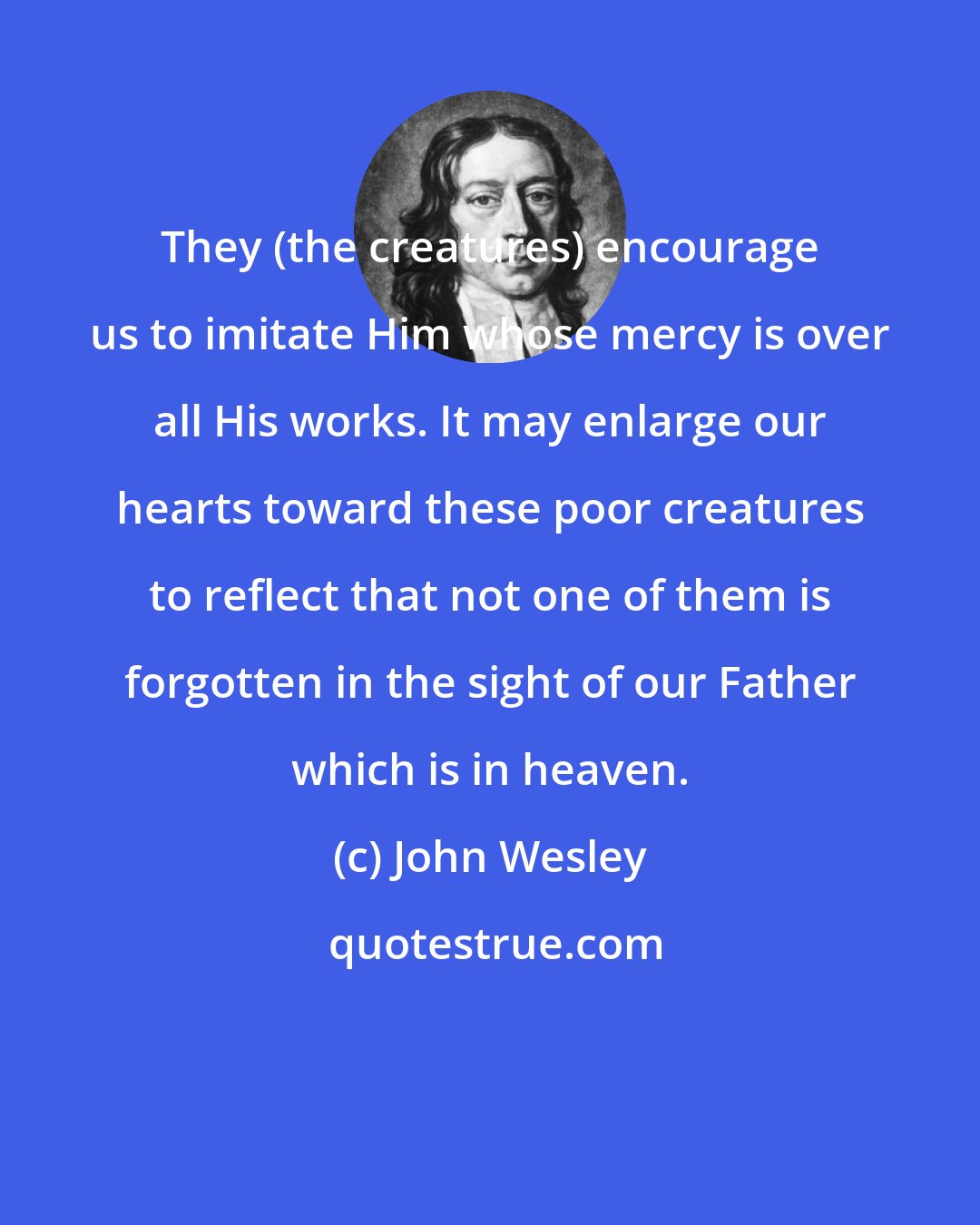 John Wesley: They (the creatures) encourage us to imitate Him whose mercy is over all His works. It may enlarge our hearts toward these poor creatures to reflect that not one of them is forgotten in the sight of our Father which is in heaven.