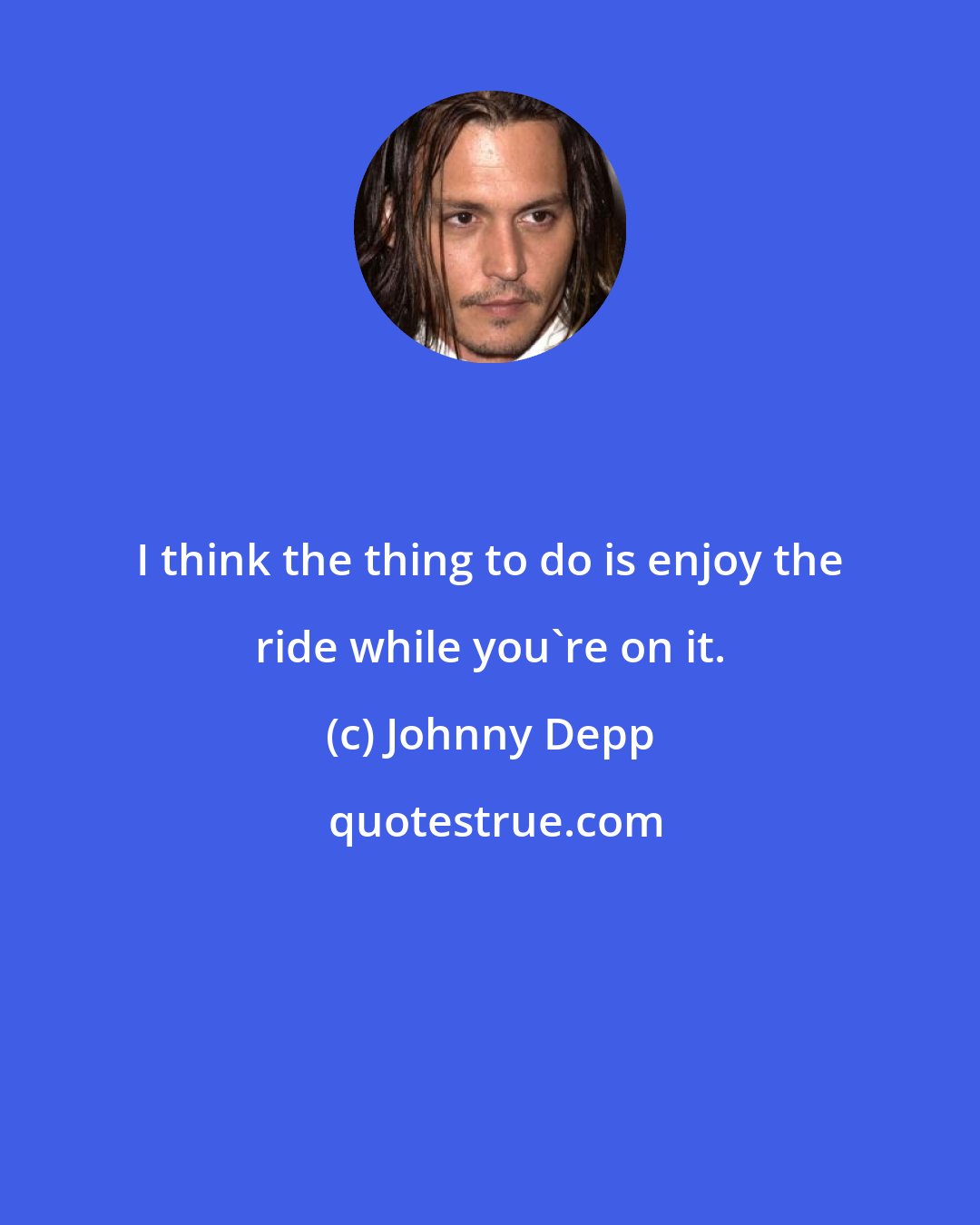 Johnny Depp: I think the thing to do is enjoy the ride while you're on it.