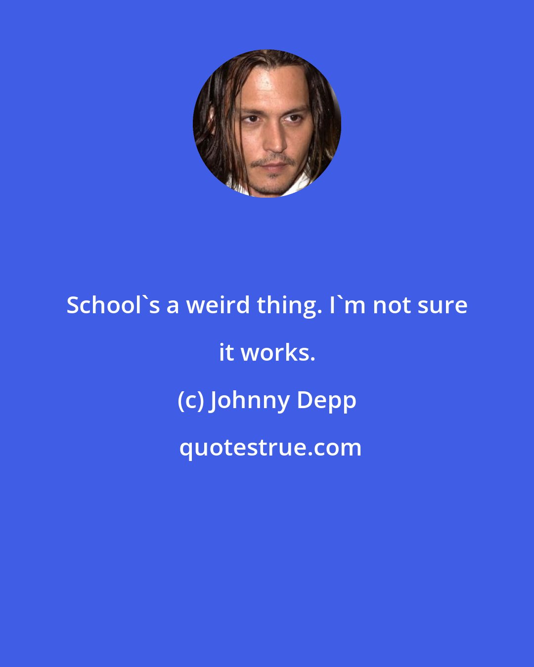 Johnny Depp: School's a weird thing. I'm not sure it works.