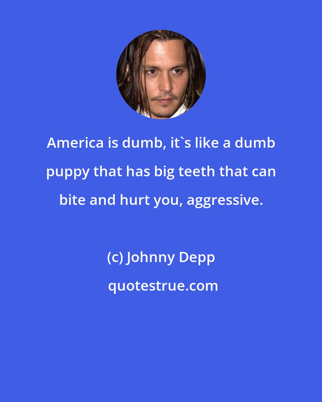 Johnny Depp: America is dumb, it's like a dumb puppy that has big teeth that can bite and hurt you, aggressive.