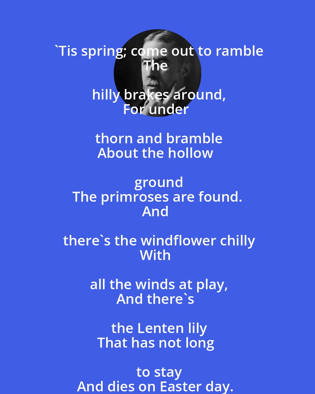 A. E. Housman: 'Tis spring; come out to ramble
The hilly brakes around,
For under thorn and bramble
About the hollow ground
The primroses are found.
And there's the windflower chilly
With all the winds at play,
And there's the Lenten lily
That has not long to stay
And dies on Easter day.